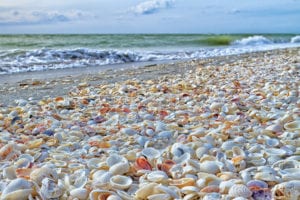 Sanibel Isladn Beach