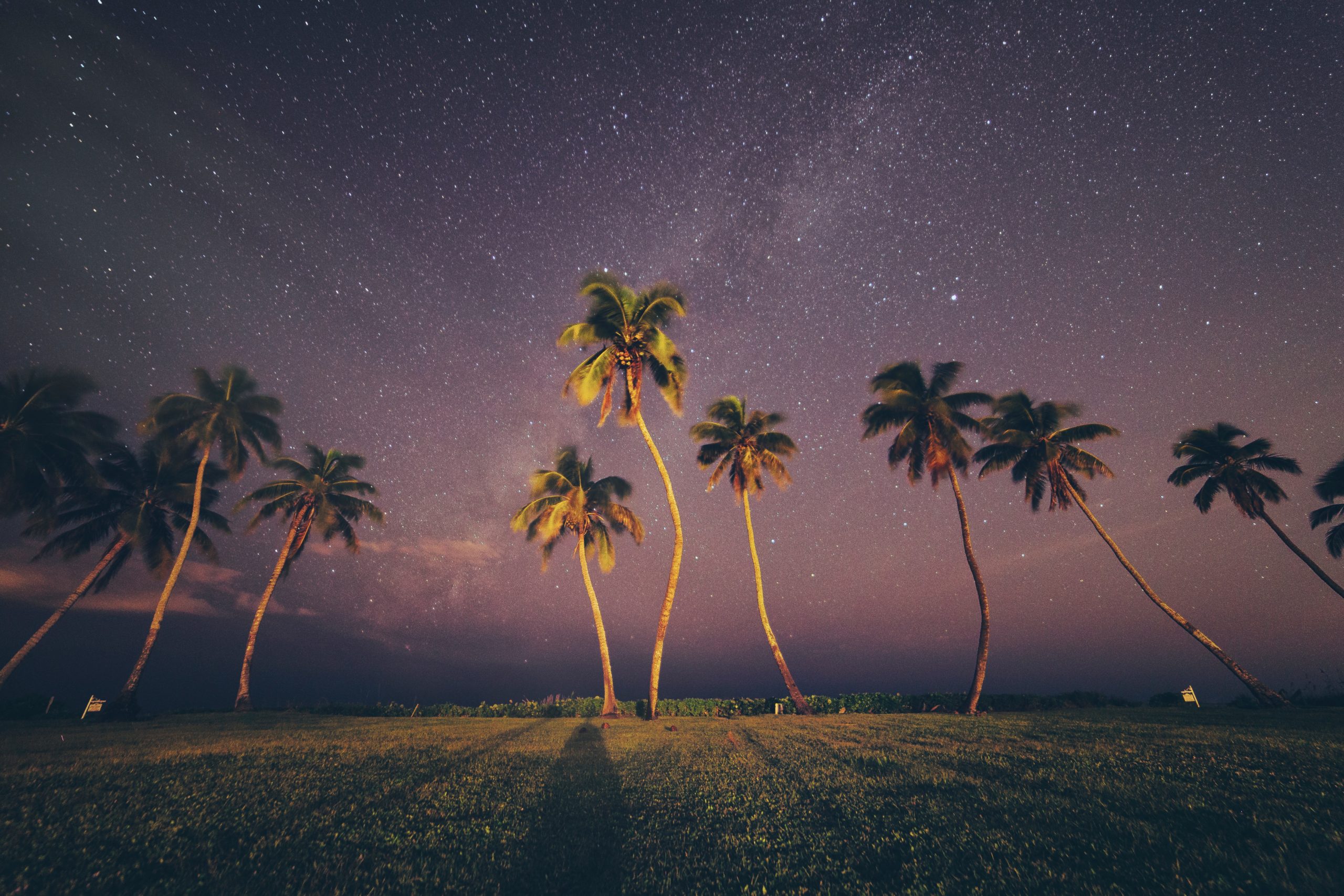 Naples Florida Real Estate