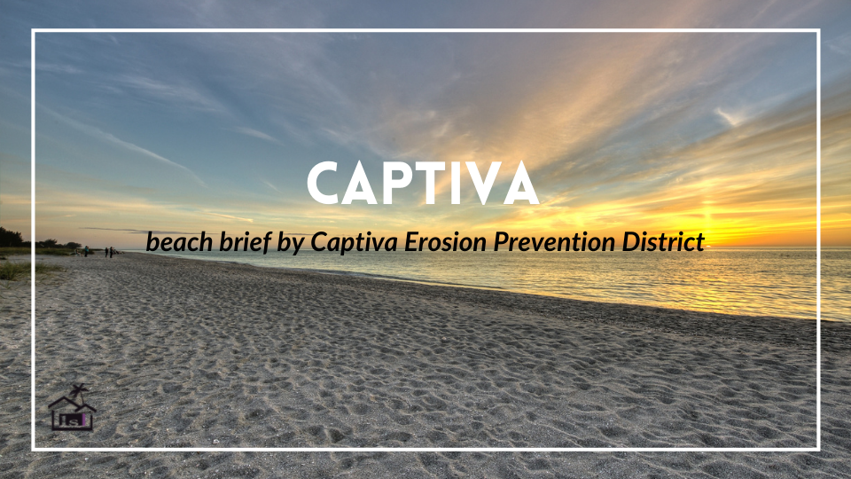 Captiva Beach Brief
