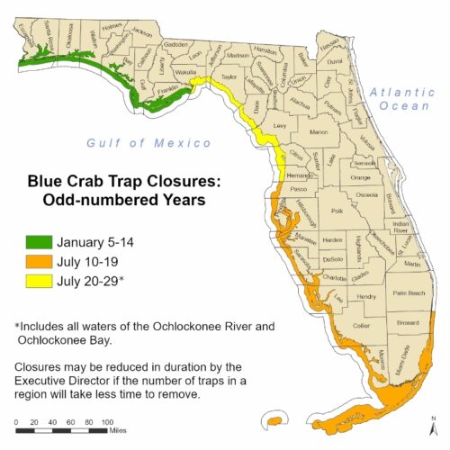 FWC BLUE CRAB TRAPS