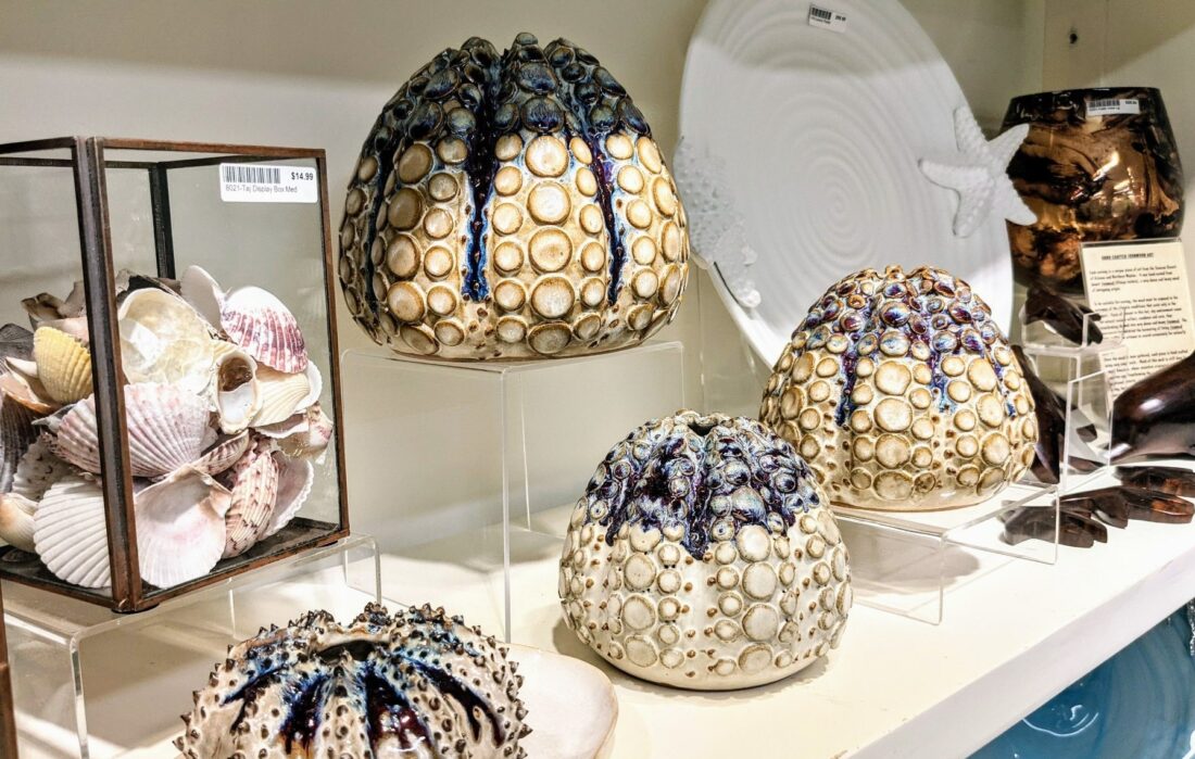 Onine store shell museum