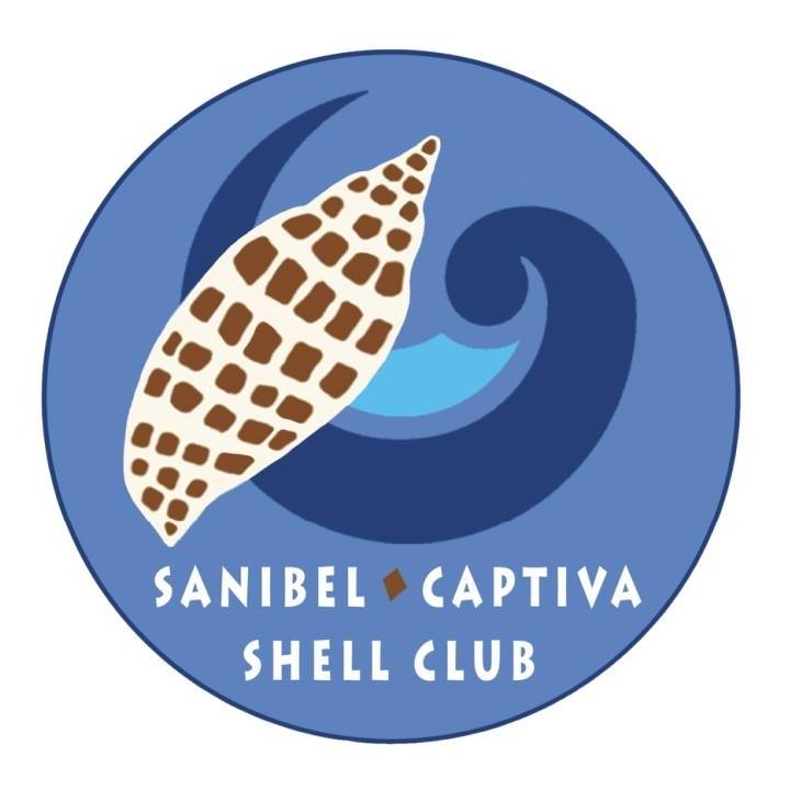 Sanibel Captiva Seashell Club