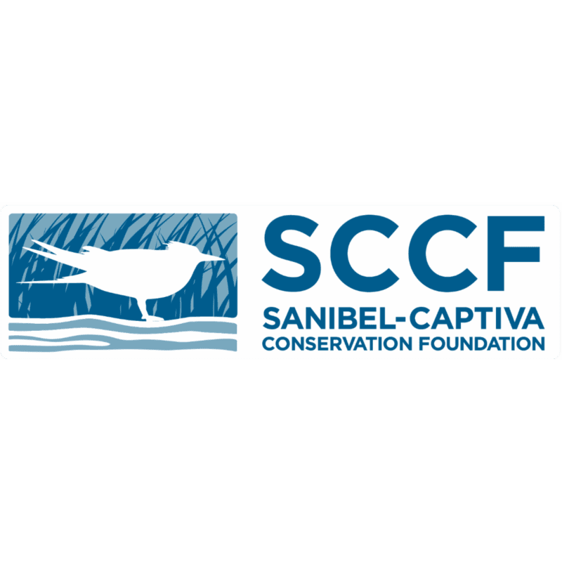 SCCF