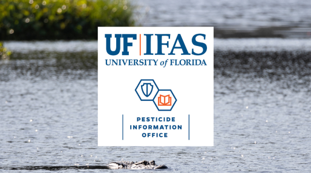 University of Florida