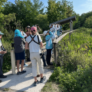 SCCF AUDUBON BIRD WALK