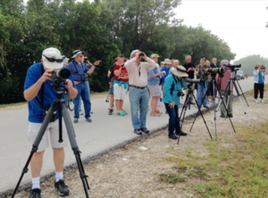 AUDUBON SOCIETY PHOTO PROG