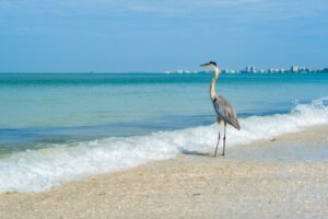 Fort Myers Beach