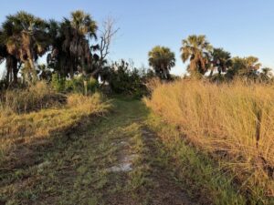 William and Ruth Brooks Nature Trail opens