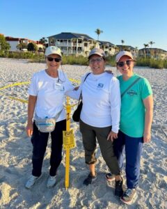 SCCF SEA TURTLE SEASON START