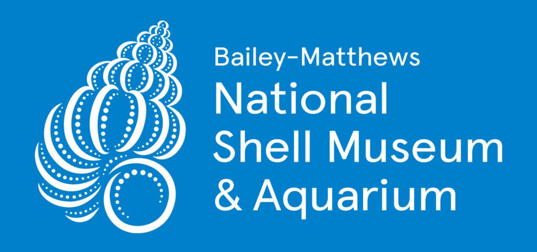 BAILEY SHELL MUSEUM AQUARIUM