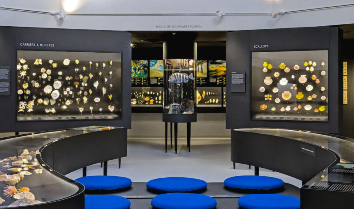 Shell Muesuem Hall of Fame