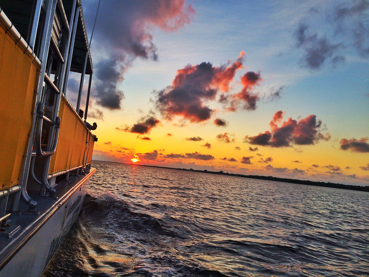 Sunset Dolphin Cruise