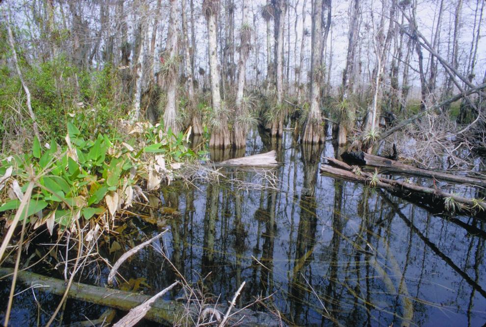 $27.4 Million for Large-Scale Land Conservation