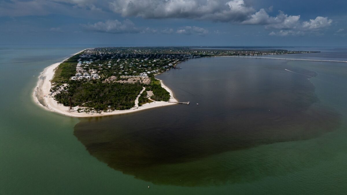 Sanibel Island Study Identifies Key Assets
