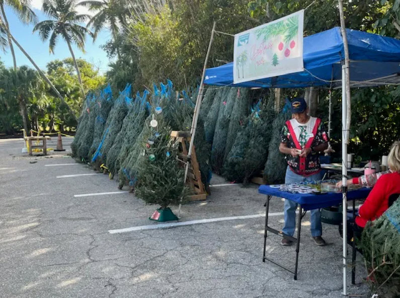 Foros Xmas Tree