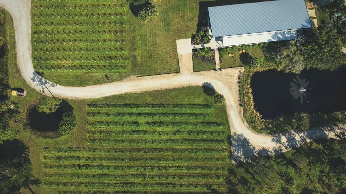 RAD Winery
