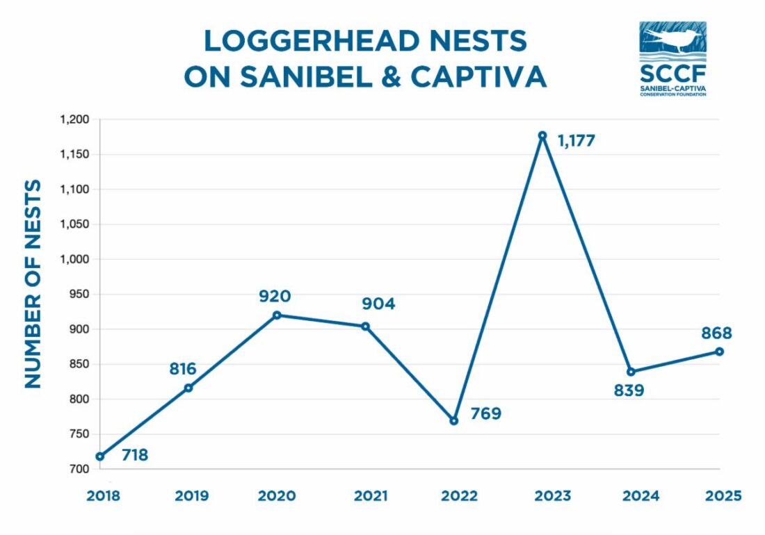 SCCF SEA TURTLE SEASON UPDATE