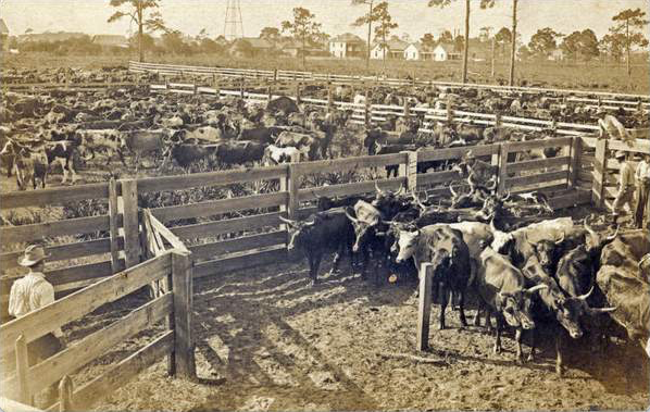 HIST VILLAGE FLORIDA CRACKER