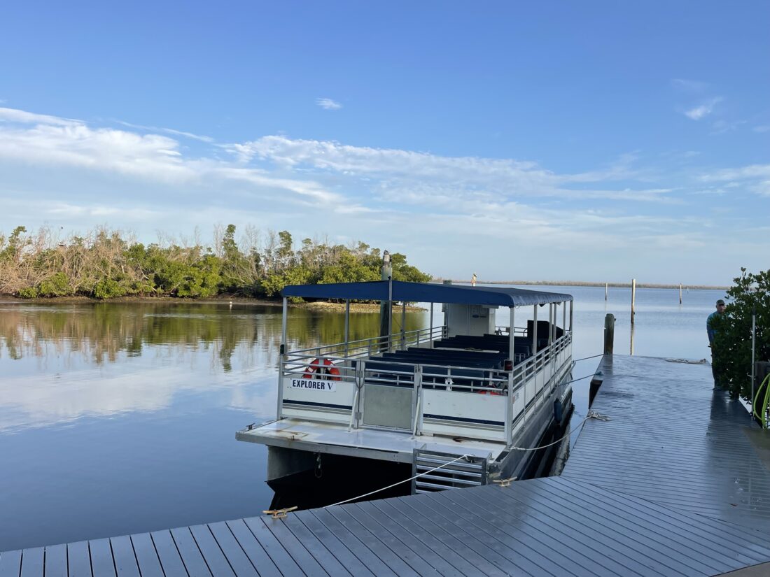 TBE RESUMES ECO CRUISES