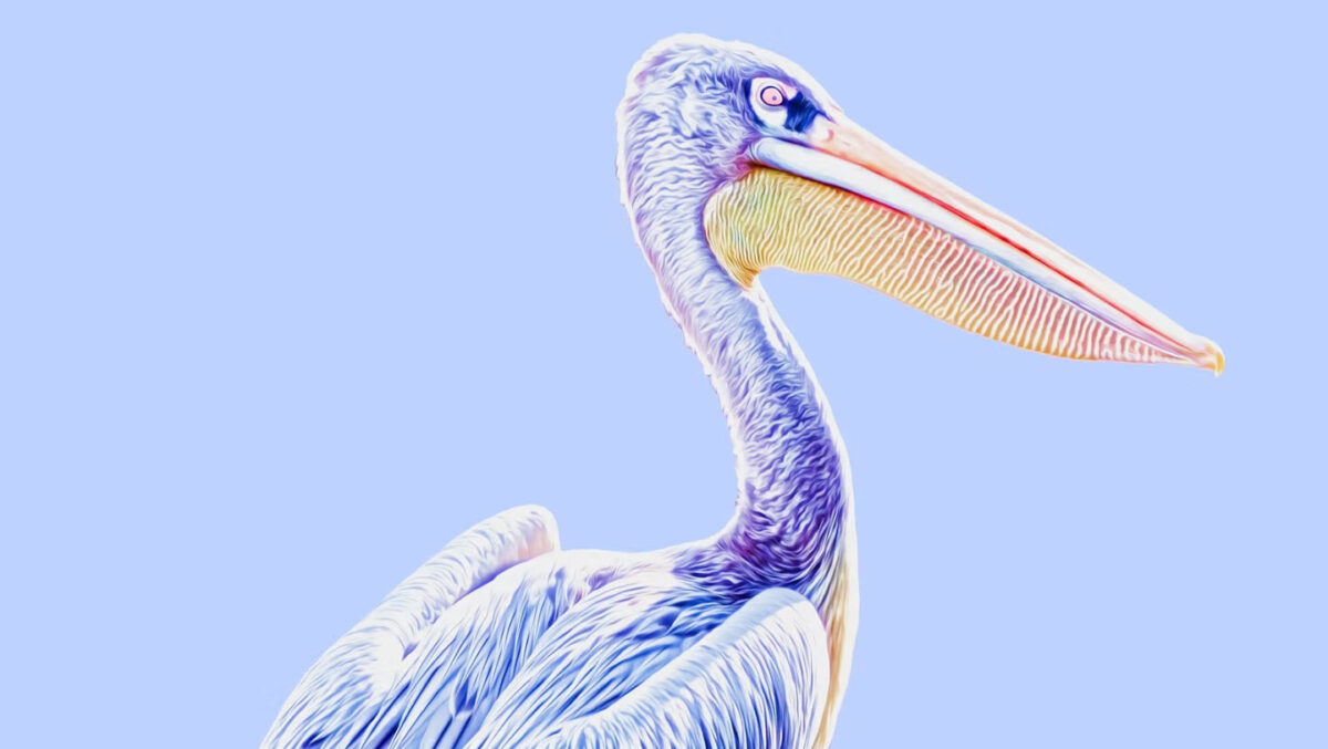 Sanibel Rotary Arts & Crafts Festival
