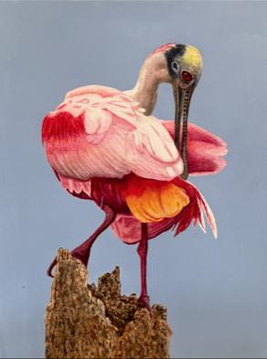 Sanibel Music Festival 2026