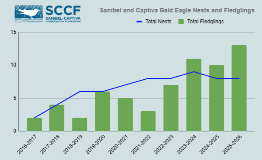 Sanibel Bald Eagle Nesting Season 2026
