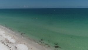 Saharan dust Southwest Florida red tide