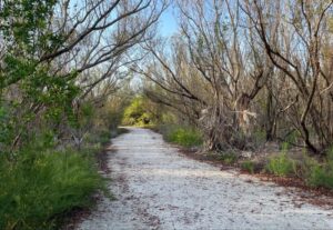 Sanibel Community Park Trail Restoration 2026