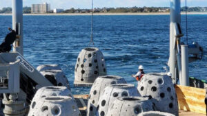 new Collier County artificial reef