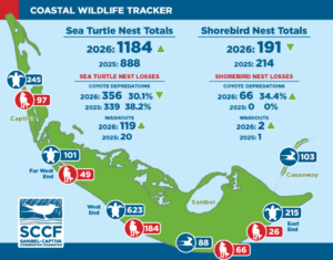 SCCF Monthly Coastal Wildlife Tracker 2026