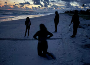 SCCF sea turtle hatchling release sessions